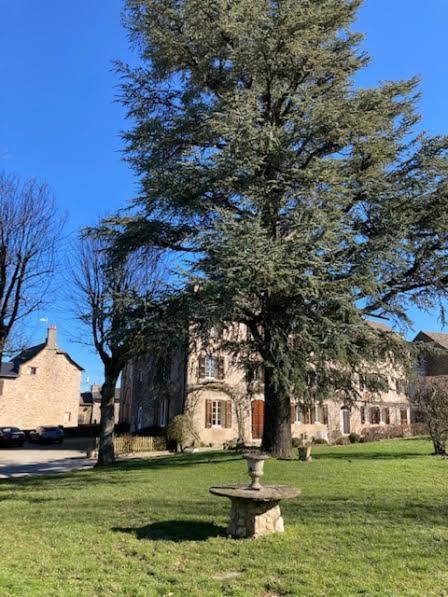 Le Clos D'Albray - Chambres D'Hotes Et Gite Comps-la-Grand-Ville Buitenkant foto