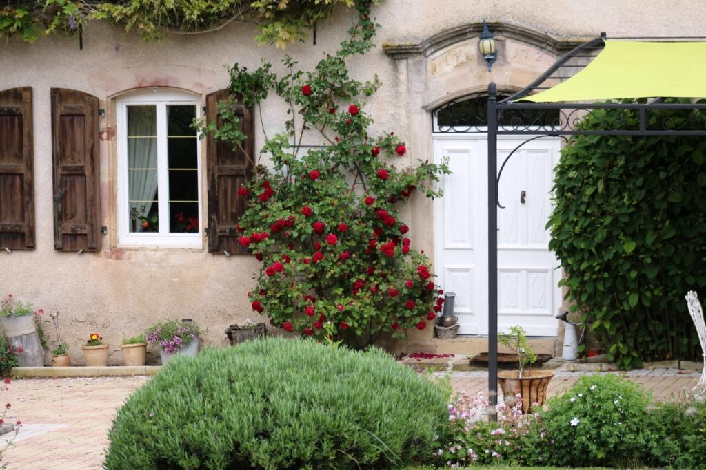 Le Clos D'Albray - Chambres D'Hotes Et Gite Comps-la-Grand-Ville Buitenkant foto
